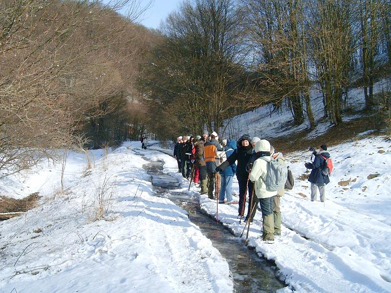 20110122 044.jpg